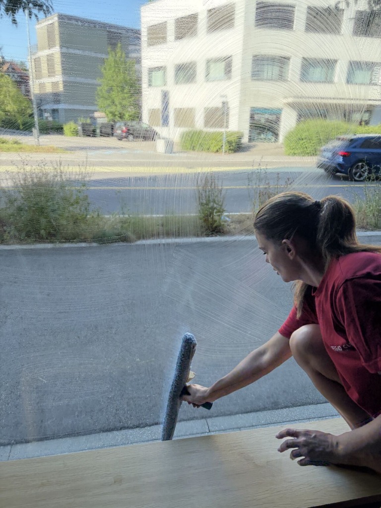 Home - Regio-Clean GmbH bietet qualitativ hochwertige und nachhaltige Reinigungsdienstleistungen 30